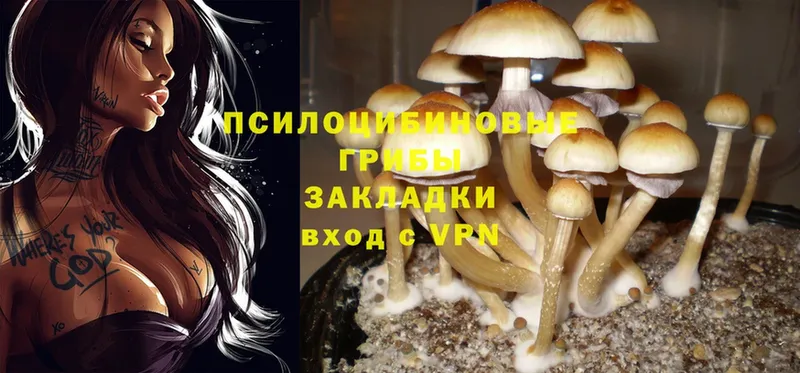 Галлюциногенные грибы Magic Shrooms  omg онион  Мамоново 